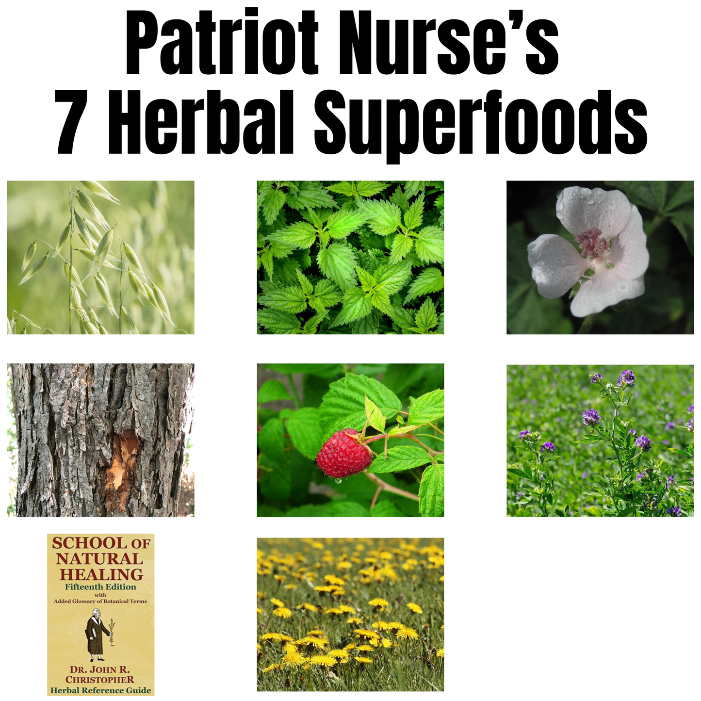 Patriot Nurse's 7 Herbal Superfoods Bundle