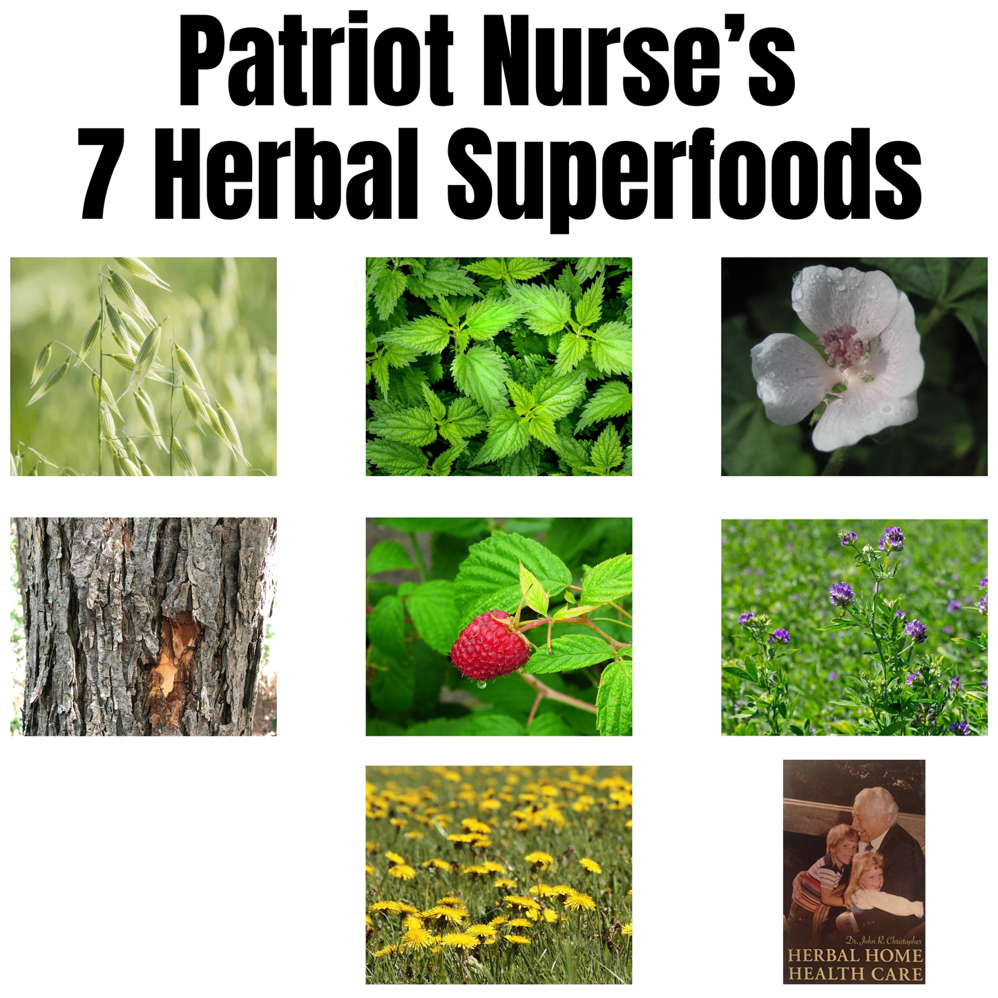 Patriot Nurse's 7 Herbal Superfoods Bundle