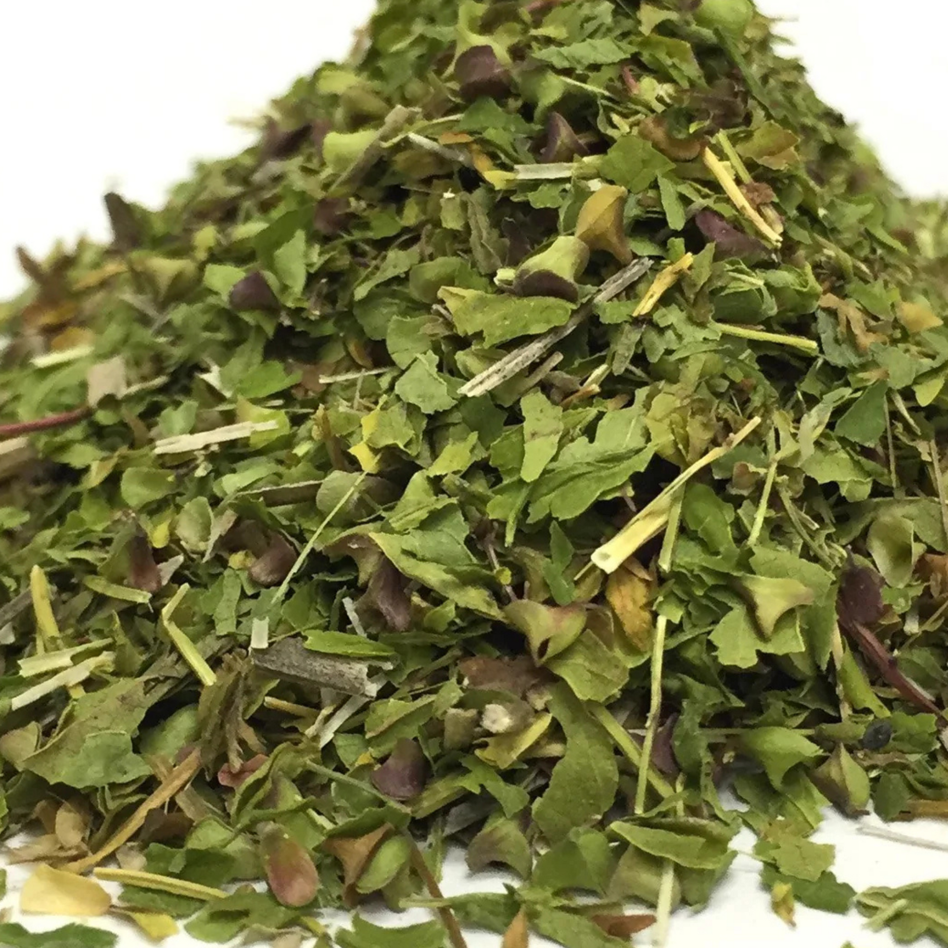 Skullcap herb cut 16 oz bulk herb from Patriot Nurse