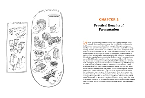 The Art of Fermentation: New York Times Bestseller